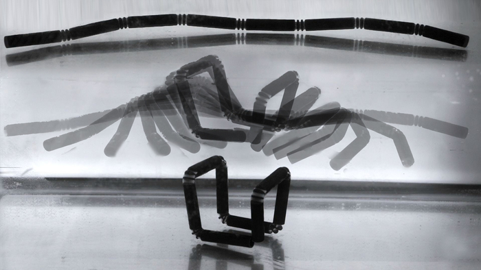 Stratasys e MIT hanno sviluppato un materiale stampabile in grado di attivarsi a contatto con l’acqua e quindi di cambiare forma